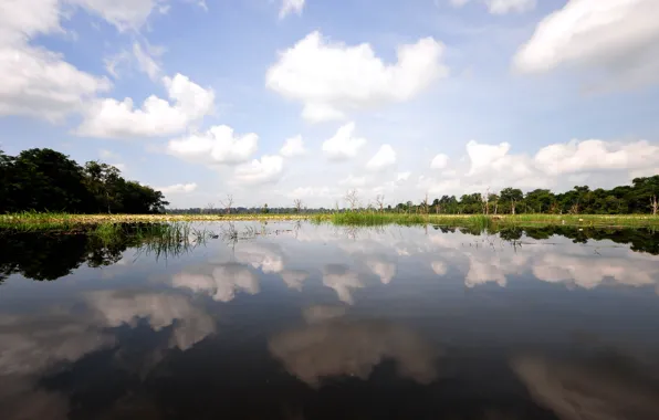Lake, Cambodia, Siem Reap
