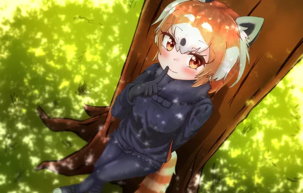 Картинка природа, дерево, девочка, Kemono Friends, Lesser Panda