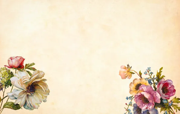 Картинка цветы, фон, Текстура, бежевый