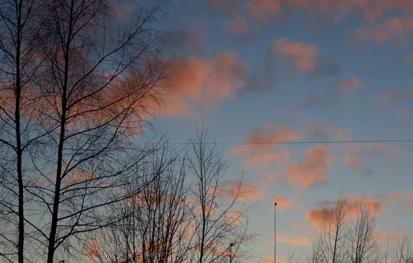 Картинка небо, облака, деревья, закат, оранжевый, голубой, провод