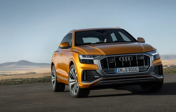 Вид спереди, Quattro, 2018, кроссовер, S-Line, 50 TDI, Audi Q8