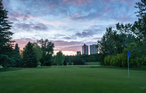 Гольф, Green, Golf, Edmonton, Эдмонтон