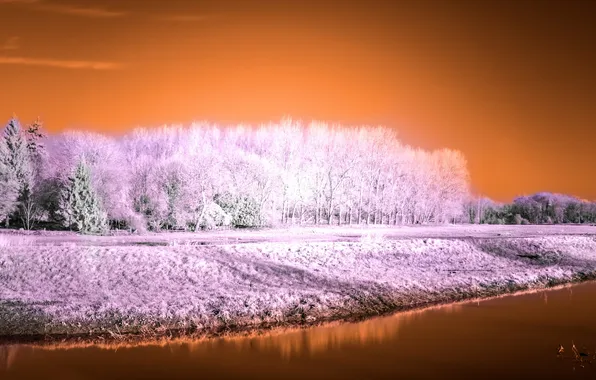 Картинка пейзаж, река, False colour