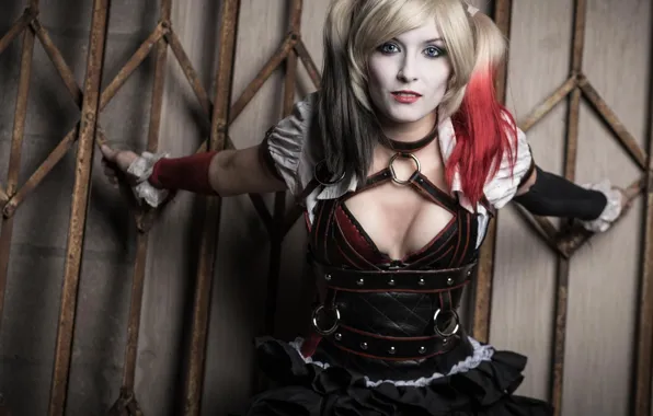 Batman, Харли Квинн, Harley Quinn, Warner Bros, Rocksteady Studios, Arkham Knight, злодейка