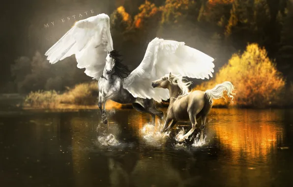 Картинка вода, деревья, брызги, отражение, фантастика, крылья, лошади, арт