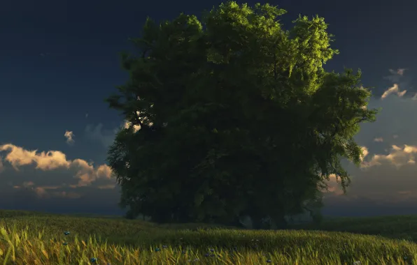 Картинка небо, трава, облака, дерево, digital, green and gold