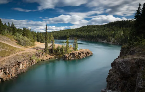 Картинка лес, река, Канада, Canada, Yukon, Юкон, Yukon River, Река Юкон