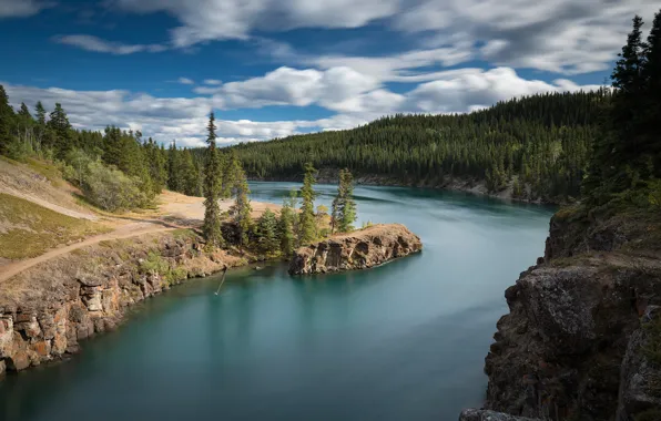 Лес, река, Канада, Canada, Yukon, Юкон, Yukon River, Река Юкон