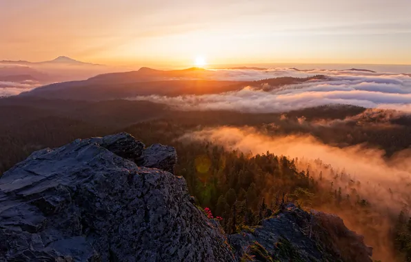 Лес, небо, солнце, деревья, туман, скалы, рассвет, Oregon