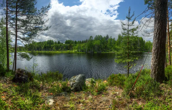 Картинка камни, Karelia, остров, Lake Ladoga, Кильпола, island Kilpola, деревья, Карелия
