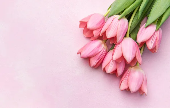 Цветы, букет, тюльпаны, pink, flowers, tulips, spring, bouquet