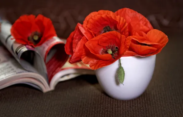 Цветы, маки, букет, книга, миска, натюрморт