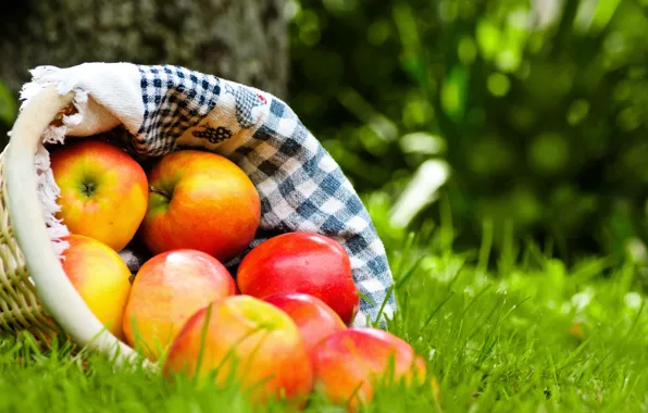 Картинка трава, корзина, яблоки, красные, фрукты, салфетка, спелые