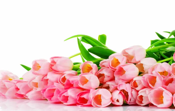 Картинка цветы, flowers, pink, букет, розовые, tulips, тюльпаны