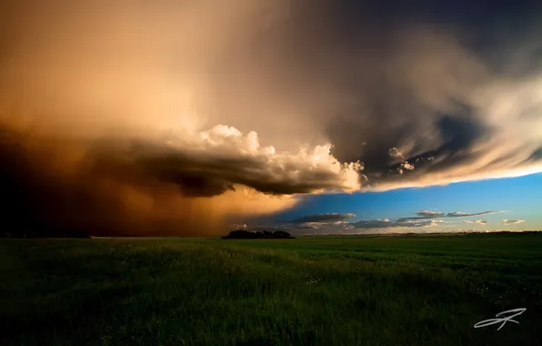 Картинка поле, лето, небо, тучи, Канада, Альберта, Июнь, вечерний шторм
