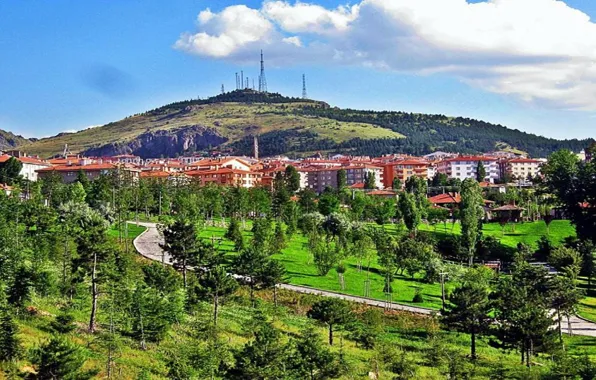 Nature, nature landscape, nature Park