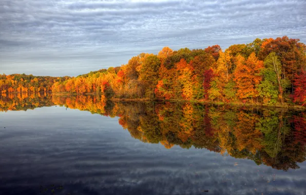 Картинка осень, небо, вода, отражения, деревья, природа, краски