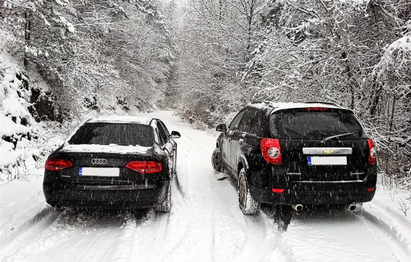 Audi, chevrolet, winter, snow, bulgaria, captiva