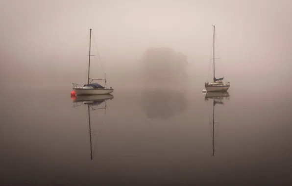 Картинка озеро, лодка, утро, яхта, ткмал
