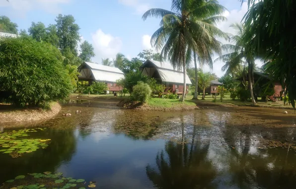 Plantations Suriname, Nature in Suriname, Wallpapers Suriname, Plantage Frederiksdorp Suriname, Frederiksdorp Surinam