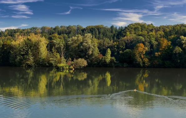 Картинка осень, лес, небо, деревья, озеро, река