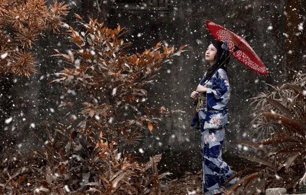 Девушка, ветки, зонт, Снег, кимоно, вгляд