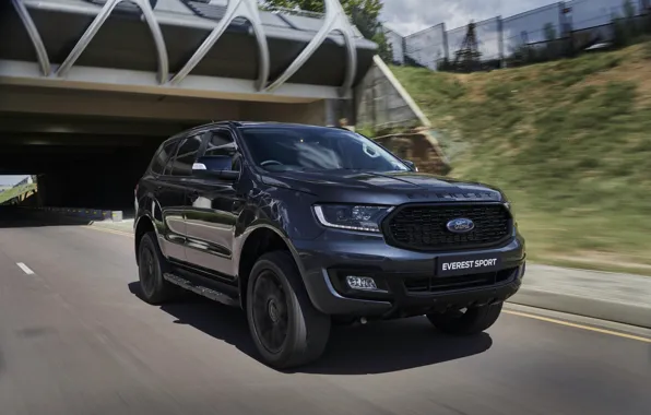 Дорога, Ford, Sport, Everest, 4WD, 2021