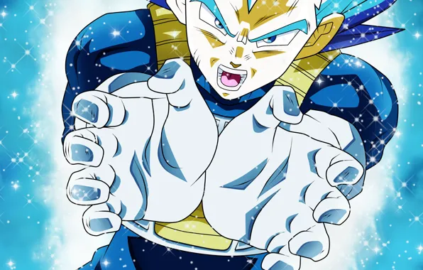Парень, Dragon Ball, Драконий жемчуг