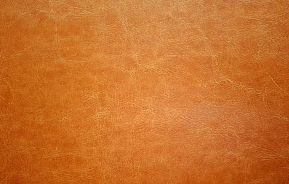 Кожа, texture, leather, skin