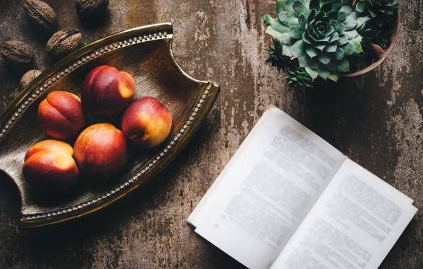 Стол, доски, горшок, книга, фрукты, натюрморт, поднос, композиция