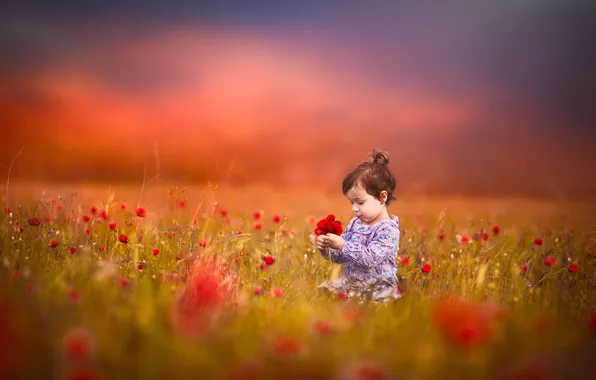 Картинка поле, цветы, девочка