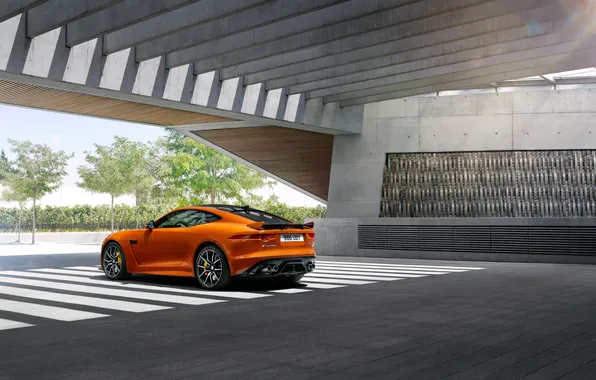 Оранжевый, купе, Jaguar, ягуар, Coupe, F-Type