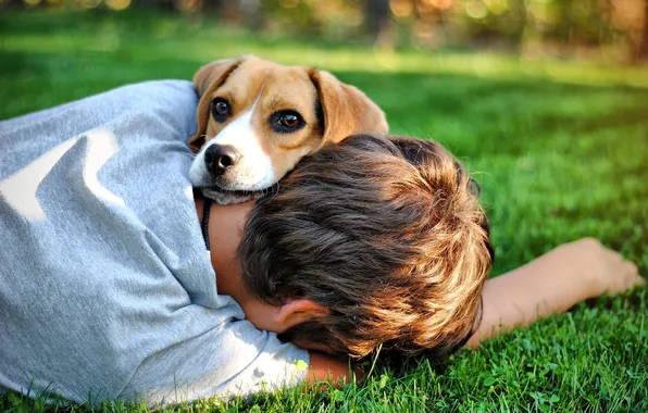 Картинка друг, собака, мальчик, парень, пёс, photo Bogdan Lucaci