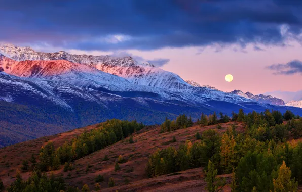 Картинка осень, лес, горы, луна