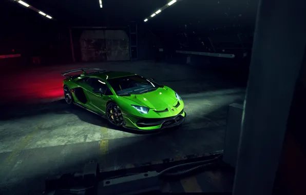 Lamborghini, суперкар, Aventador, Novitec, SVJ, 2019, Aventador SVJ