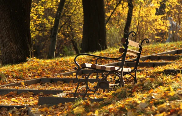 Картинка осень, деревья, парк, склон, ступени, Скамья, солнечный день, время года