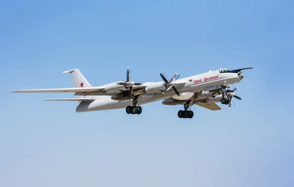 Картинка Самолет, Россия, ВВС, Bear, Ту-142, ОКБ Туполева, Туполева, 142