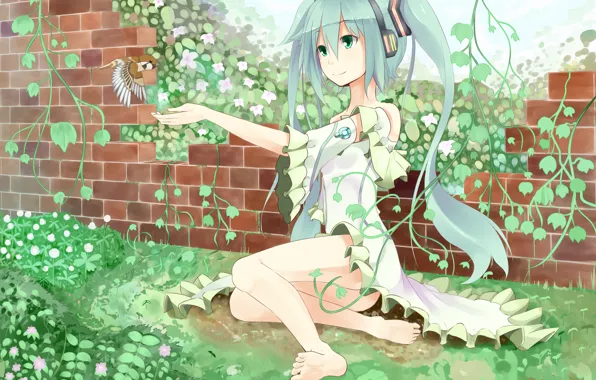 Картинка девушка, цветы, растения, аниме, наушники, арт, птичка, vocaloid