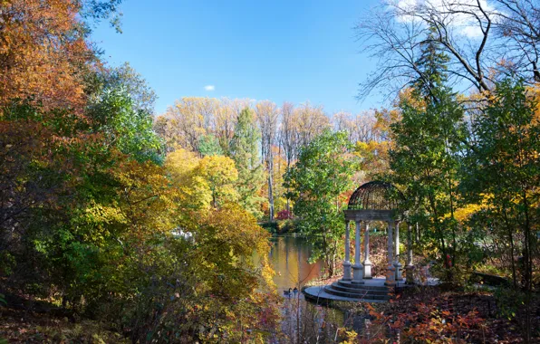 Осень, деревья, пруд, парк, США, Longwood, Kennett Square