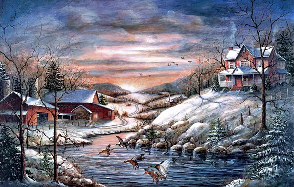 Картинка холод, зима, животные, снег, птицы, утки, дома, лёд