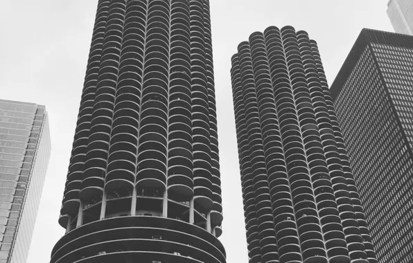 USA, United States, Chicago, Illinois, skyline, black and white, buildings, skyscrapers