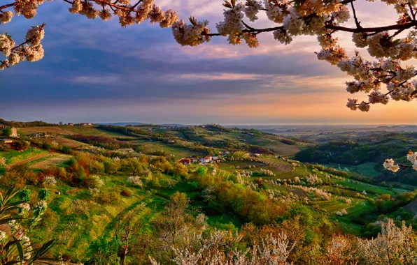 Картинка цвет, ветка, весна, вечер, долина, Италия, Апрель, Ломбардия