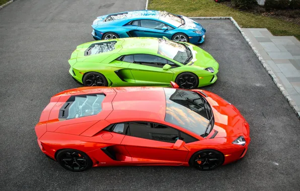 Картинка green, Lamborghini, red, blue, three, mixed, LP700-4, Aventador