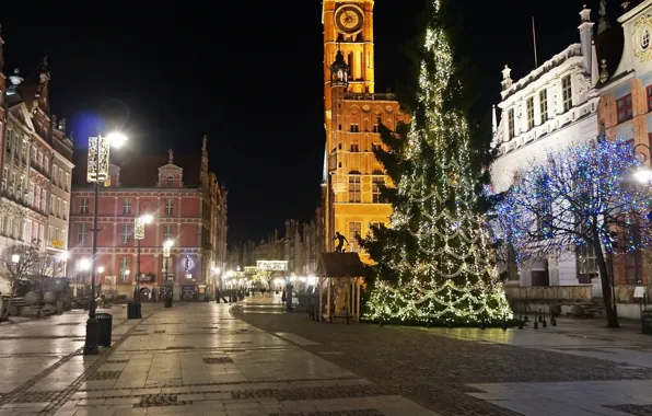 Dark, night, street, building, gdansk