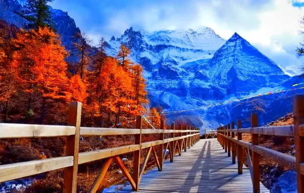 Картинка зима, деревья, горы, мост