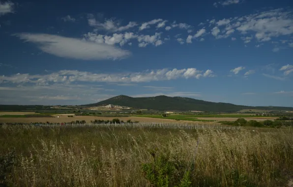 Природа, Италия, Поля, Nature, Italy, Italia, Fields