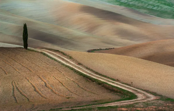Road, fields, crops
