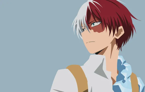 Фон, герой, парень, Boku no Hero Academia, Todoroki shouto