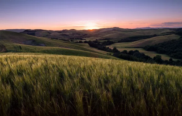 Картинка поле, пейзаж, закат, Tuscany, Volterra