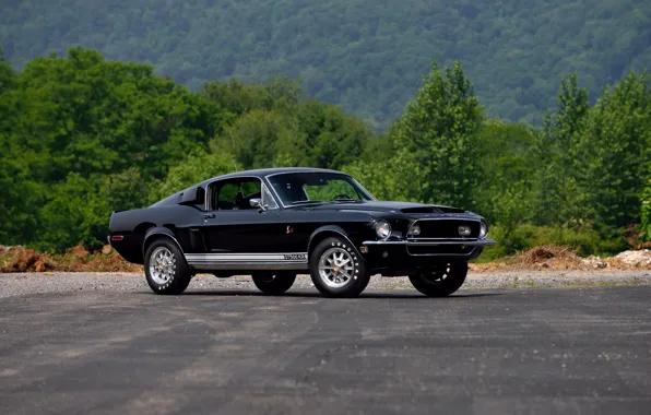 Ford, Shelby, GT500, форд, шелби, 1968